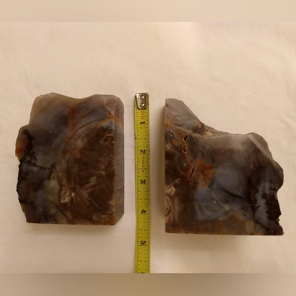 Petrified Wood Book Ends Polished Collectible Nature Fossil Earth Eco Gift - Picture 7 of 7